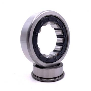 0.75 Inch | 19.05 Millimeter x 1.375 Inch | 34.925 Millimeter x 1.5 Inch | 38.1 Millimeter  CONSOLIDATED BEARING 95324  Cylindrical Roller Bearings