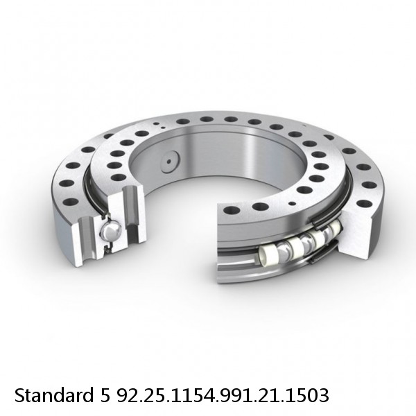 92.25.1154.991.21.1503 Standard 5 Slewing Ring Bearings