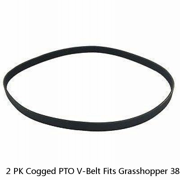 2 PK Cogged PTO V-Belt Fits Grasshopper 381914 381914G Simplicity 1717393SM
