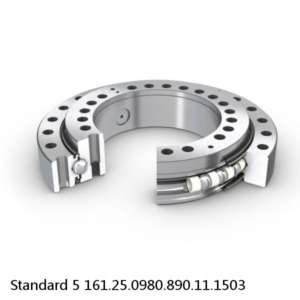 161.25.0980.890.11.1503 Standard 5 Slewing Ring Bearings