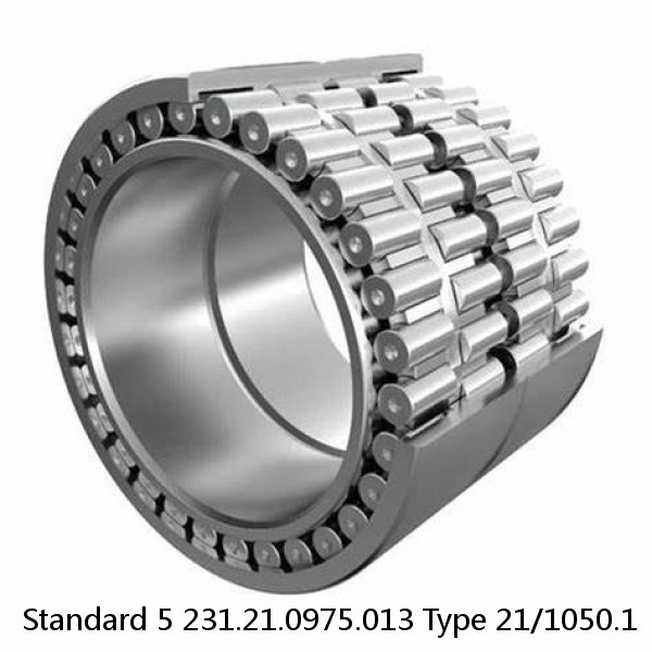 231.21.0975.013 Type 21/1050.1 Standard 5 Slewing Ring Bearings