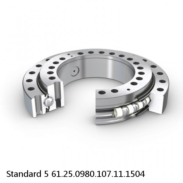 61.25.0980.107.11.1504 Standard 5 Slewing Ring Bearings