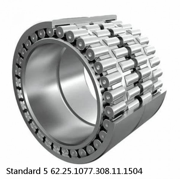 62.25.1077.308.11.1504 Standard 5 Slewing Ring Bearings