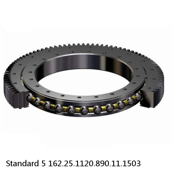 162.25.1120.890.11.1503 Standard 5 Slewing Ring Bearings