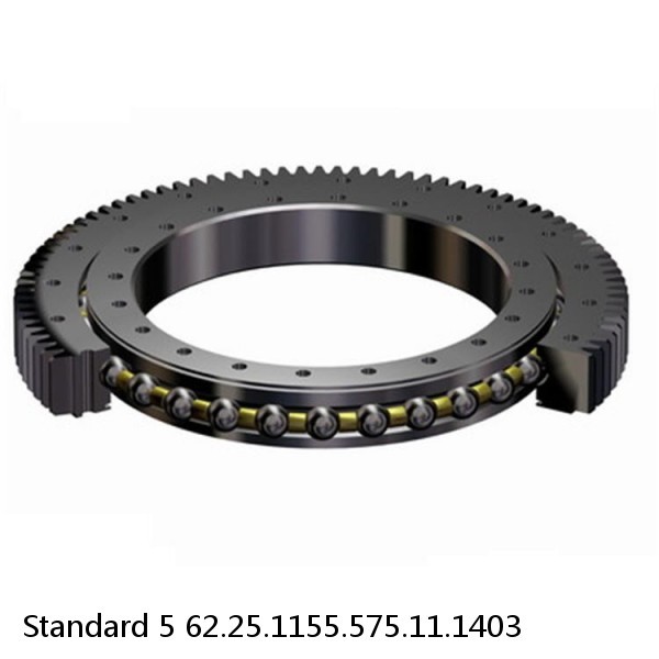 62.25.1155.575.11.1403 Standard 5 Slewing Ring Bearings