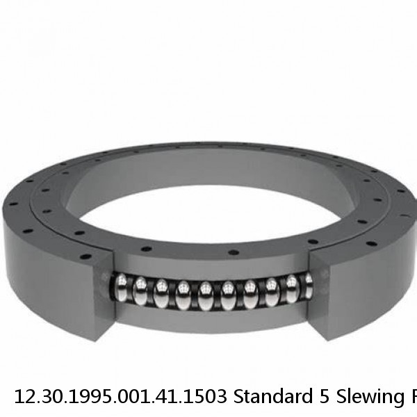 12.30.1995.001.41.1503 Standard 5 Slewing Ring Bearings