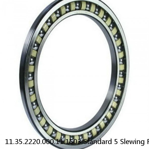 11.35.2220.000.11.1503 Standard 5 Slewing Ring Bearings