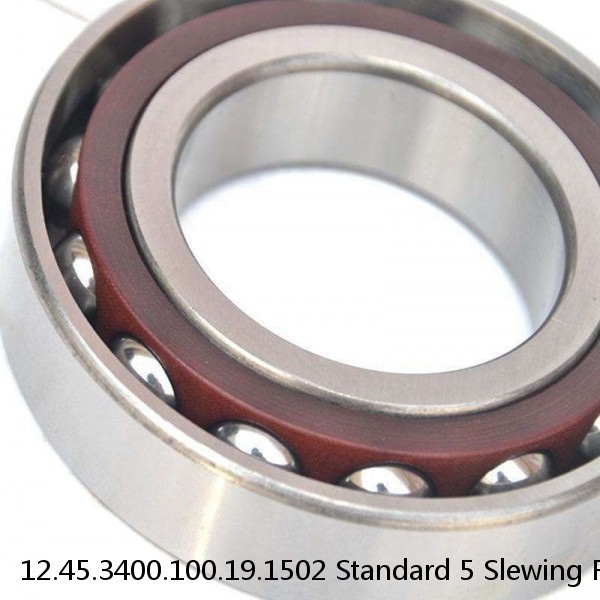 12.45.3400.100.19.1502 Standard 5 Slewing Ring Bearings