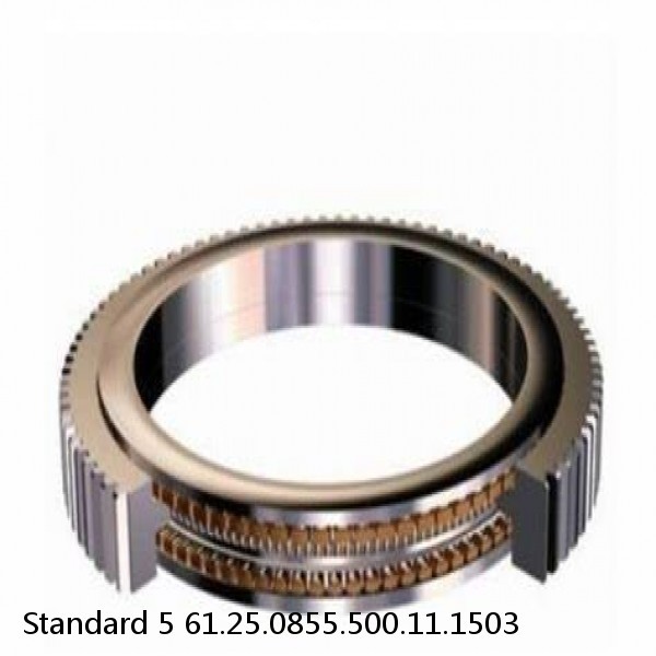 61.25.0855.500.11.1503 Standard 5 Slewing Ring Bearings