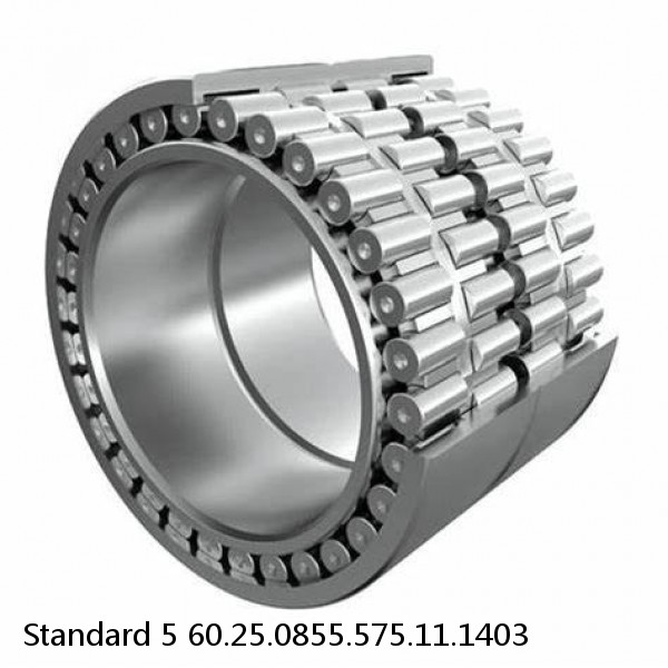 60.25.0855.575.11.1403 Standard 5 Slewing Ring Bearings