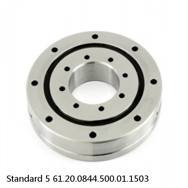 61.20.0844.500.01.1503 Standard 5 Slewing Ring Bearings