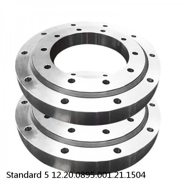 12.20.0895.001.21.1504 Standard 5 Slewing Ring Bearings