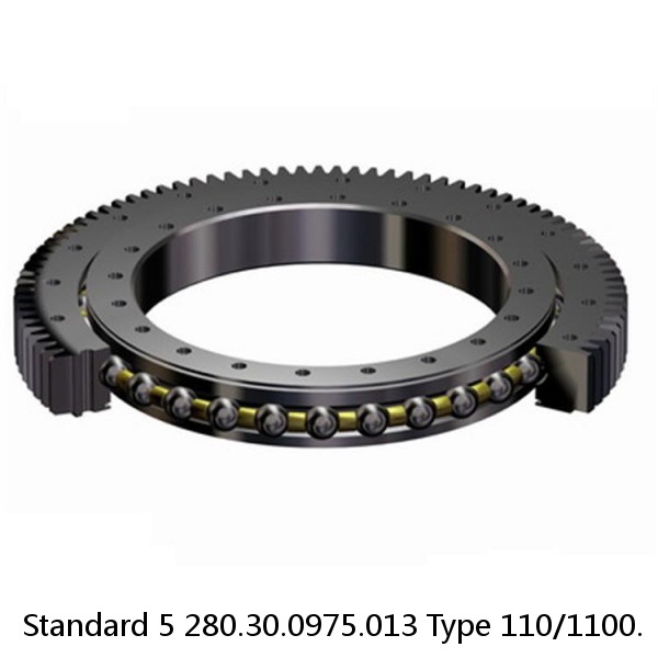 280.30.0975.013 Type 110/1100. Standard 5 Slewing Ring Bearings