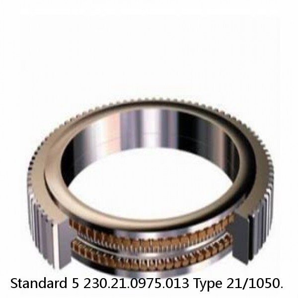 230.21.0975.013 Type 21/1050. Standard 5 Slewing Ring Bearings