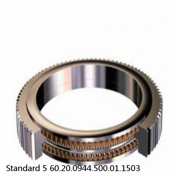 60.20.0944.500.01.1503 Standard 5 Slewing Ring Bearings