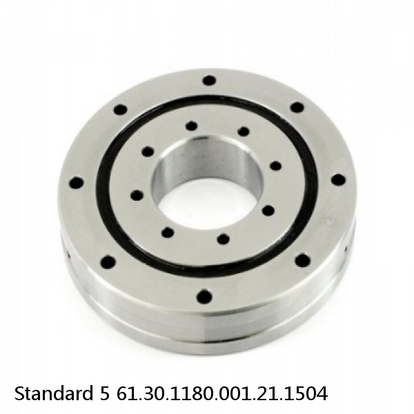 61.30.1180.001.21.1504 Standard 5 Slewing Ring Bearings