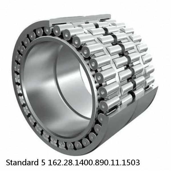 162.28.1400.890.11.1503 Standard 5 Slewing Ring Bearings