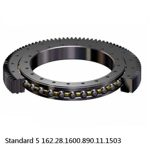 162.28.1600.890.11.1503 Standard 5 Slewing Ring Bearings