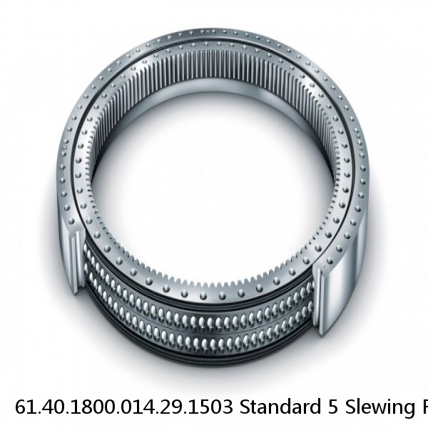 61.40.1800.014.29.1503 Standard 5 Slewing Ring Bearings