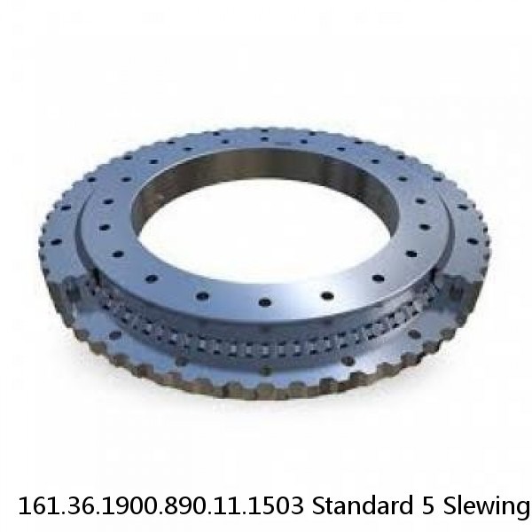 161.36.1900.890.11.1503 Standard 5 Slewing Ring Bearings