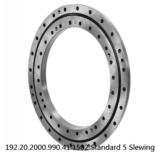 192.20.2000.990.41.1502 Standard 5 Slewing Ring Bearings