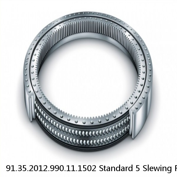 91.35.2012.990.11.1502 Standard 5 Slewing Ring Bearings