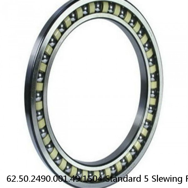 62.50.2490.001.49.1504 Standard 5 Slewing Ring Bearings