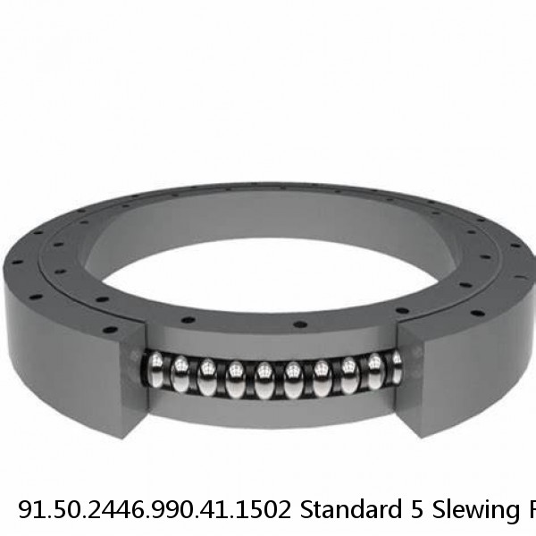 91.50.2446.990.41.1502 Standard 5 Slewing Ring Bearings