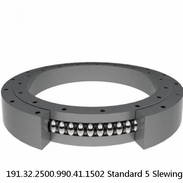 191.32.2500.990.41.1502 Standard 5 Slewing Ring Bearings