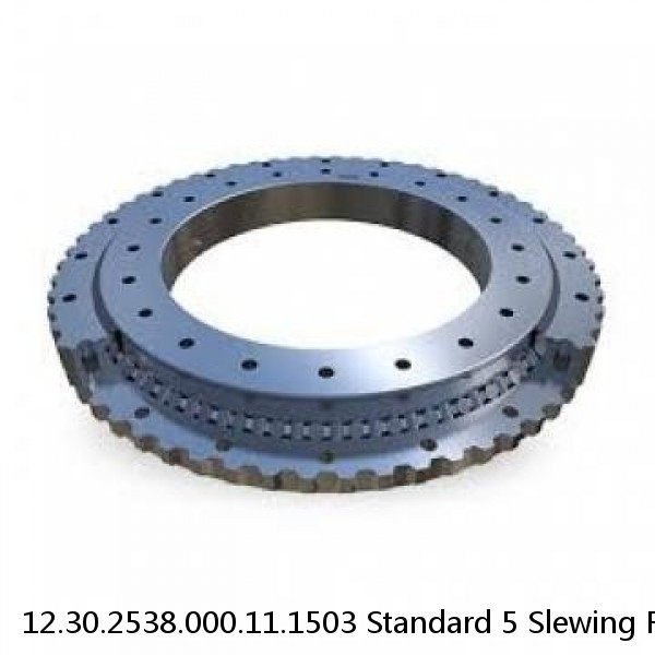 12.30.2538.000.11.1503 Standard 5 Slewing Ring Bearings