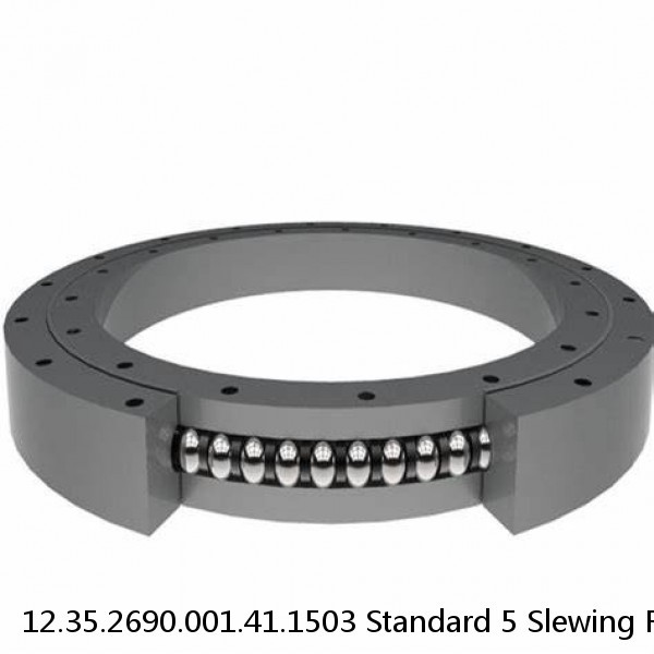 12.35.2690.001.41.1503 Standard 5 Slewing Ring Bearings