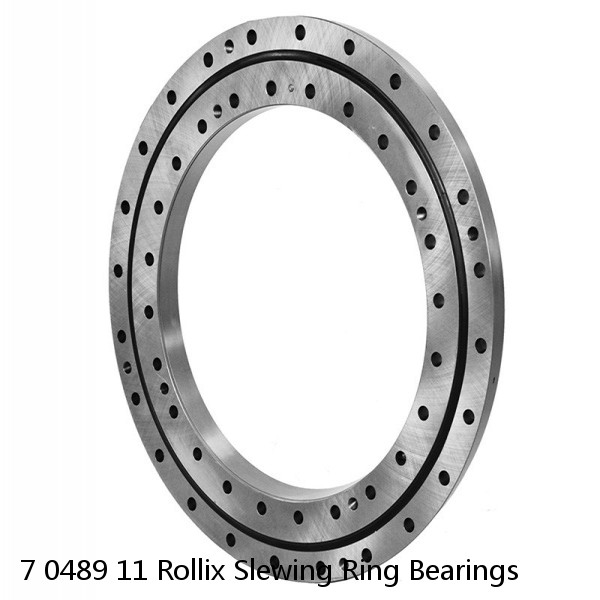 7 0489 11 Rollix Slewing Ring Bearings