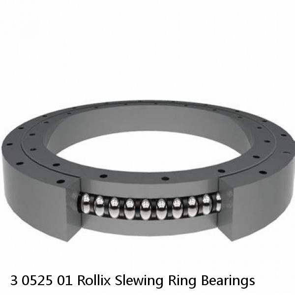 3 0525 01 Rollix Slewing Ring Bearings