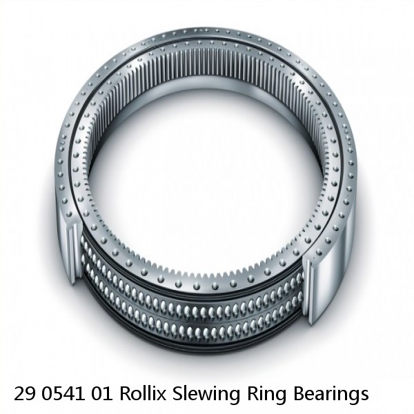 29 0541 01 Rollix Slewing Ring Bearings