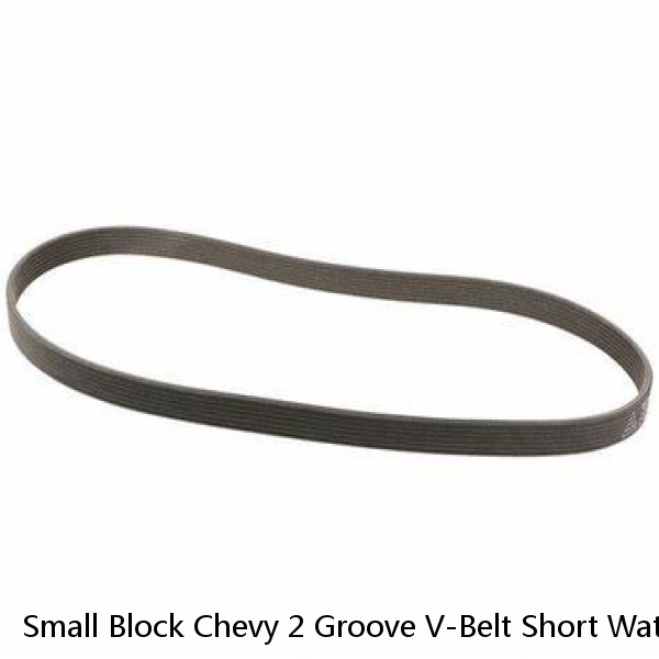 Small Block Chevy 2 Groove V-Belt Short Water Pump Pulley Kit Aluminum 59-68 350