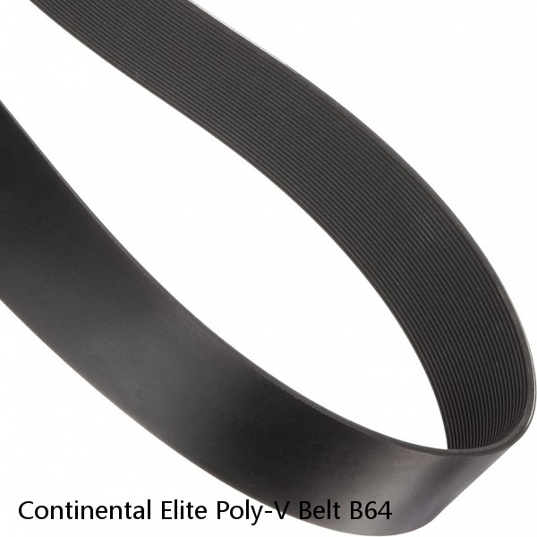 Continental Elite Poly-V Belt B64